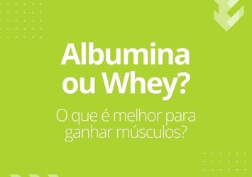 Albumina ou Whey? O que é melhor para ganhar músculos?
