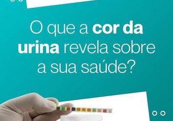 O que a cor da urina revela sobre a sua saúde?