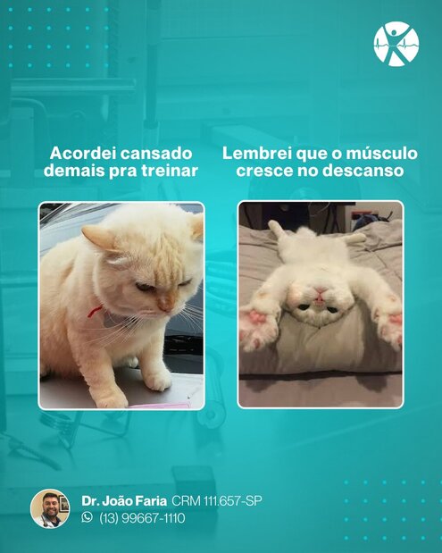 Desculpa favorita dos meus pacientes