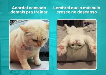 Desculpa favorita dos meus pacientes
