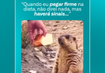 Quando eu pegar firme na dieta... não direi uma palavra. 