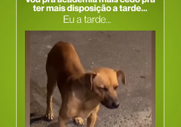 Vou para Academia mais cedo pra ter mais disposição a tarde...Eu a tarde...