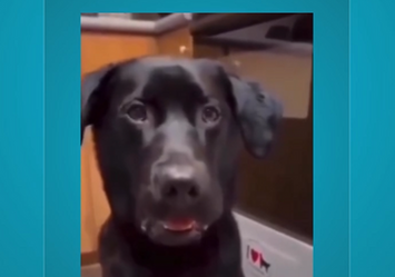 Provando o bolo de banana fit que me juraram que ia ser bom!