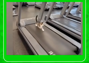 Eu quando não estou com vontade de treinar, mas vou assim mesmo kkk
