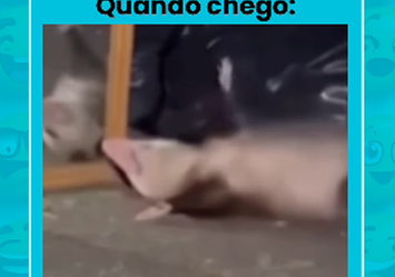 Quando eu chego em casa vou malhar, estudar e ler um livro. Quando chego: