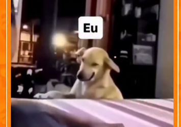Academia está fazendo efeito